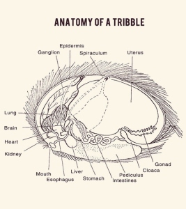 The Anatomy of a Tribble